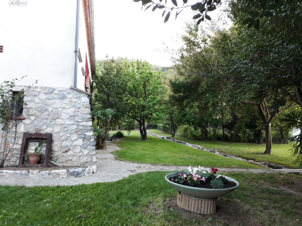 Havre De Paix Entre Mer Et Montagne A Ceret Pour 4 A 5 Pers Zewnętrze zdjęcie